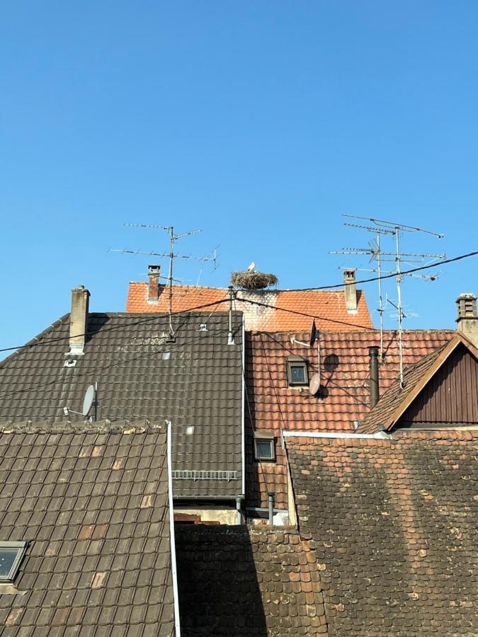Sous Les Toits Avec Garage Et Terrasse A Ribeauville Exteriör bild
